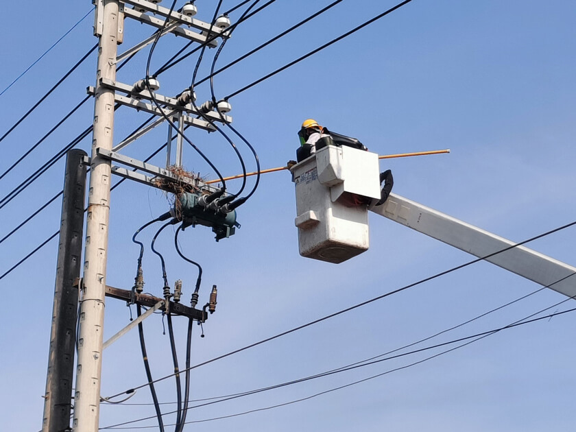 台電人員清理電杆上的鳥獸巢穴